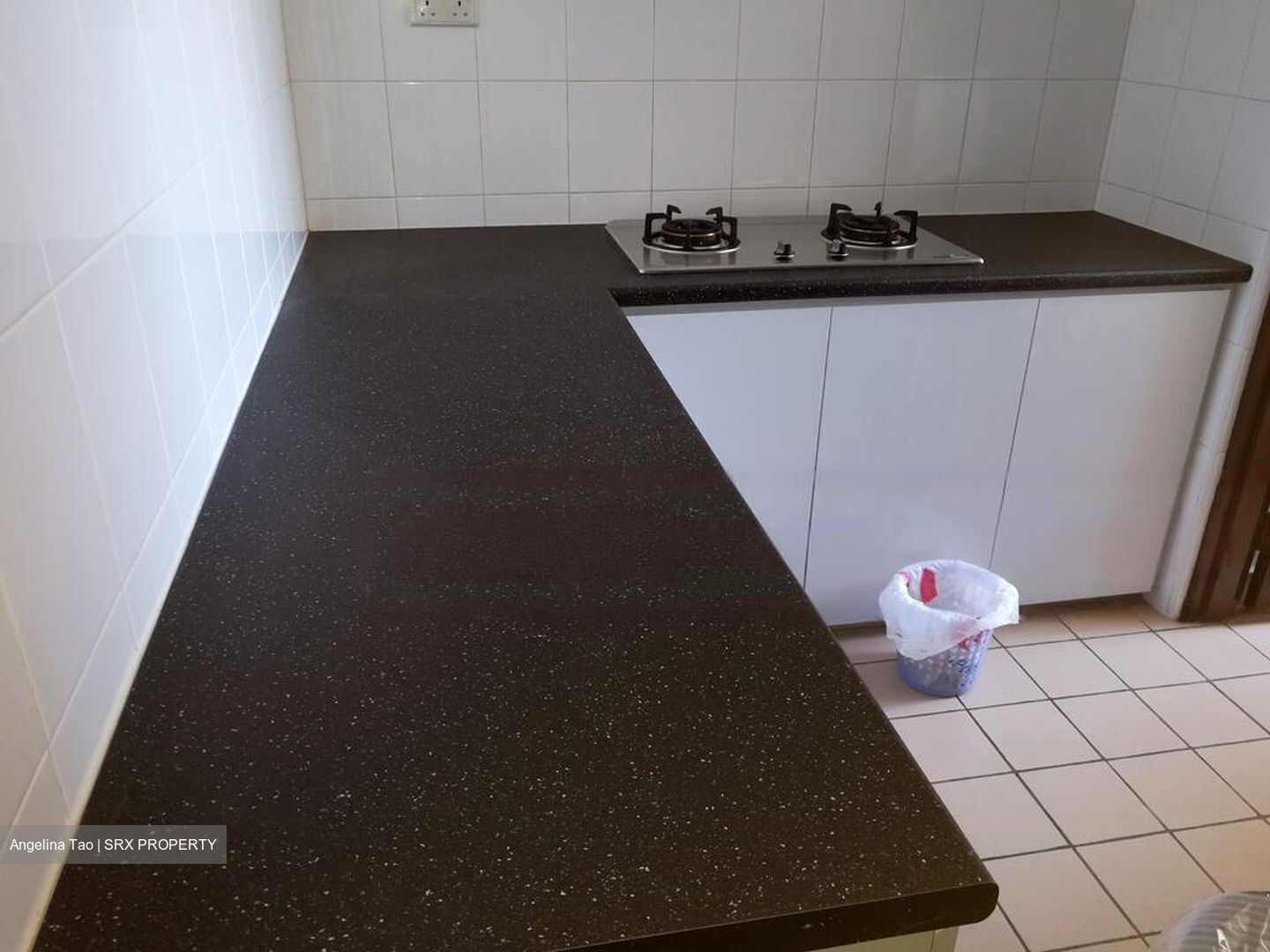 Sims Avenue (D14), Apartment #473019131